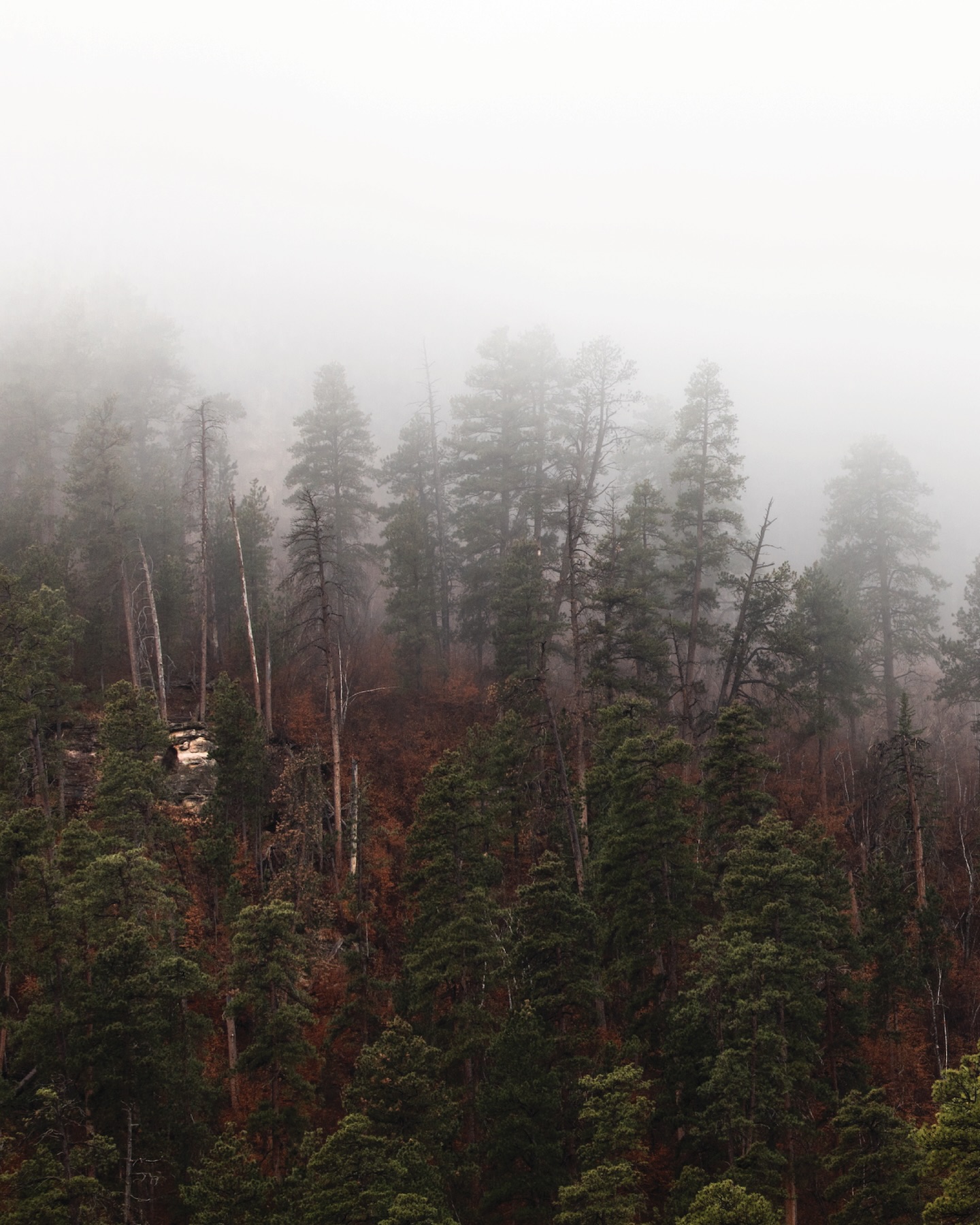 South Dakota — photo