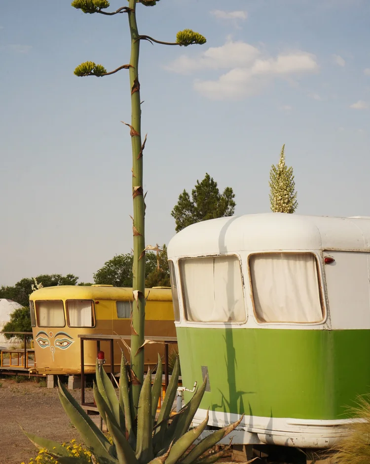 El Cosmico