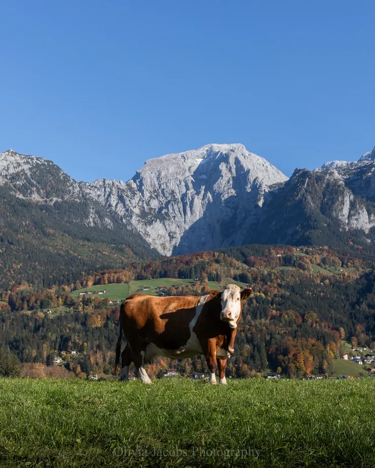 Transforming Landscapes: Finding Beauty in Nature’s Details